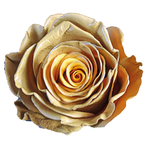 BittersweetChocolate