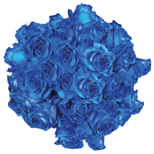 EleganceInfusedRoses