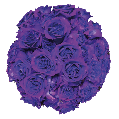 Sustainable flower farming with ethical practices