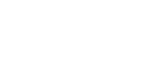 preserved roses for gifts