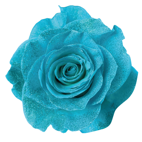 empowering flower farmers