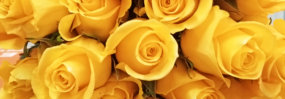 empowering flower farmers