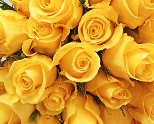 empowering flower farmers