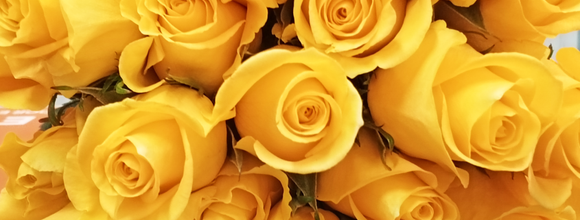 empowering flower farmers