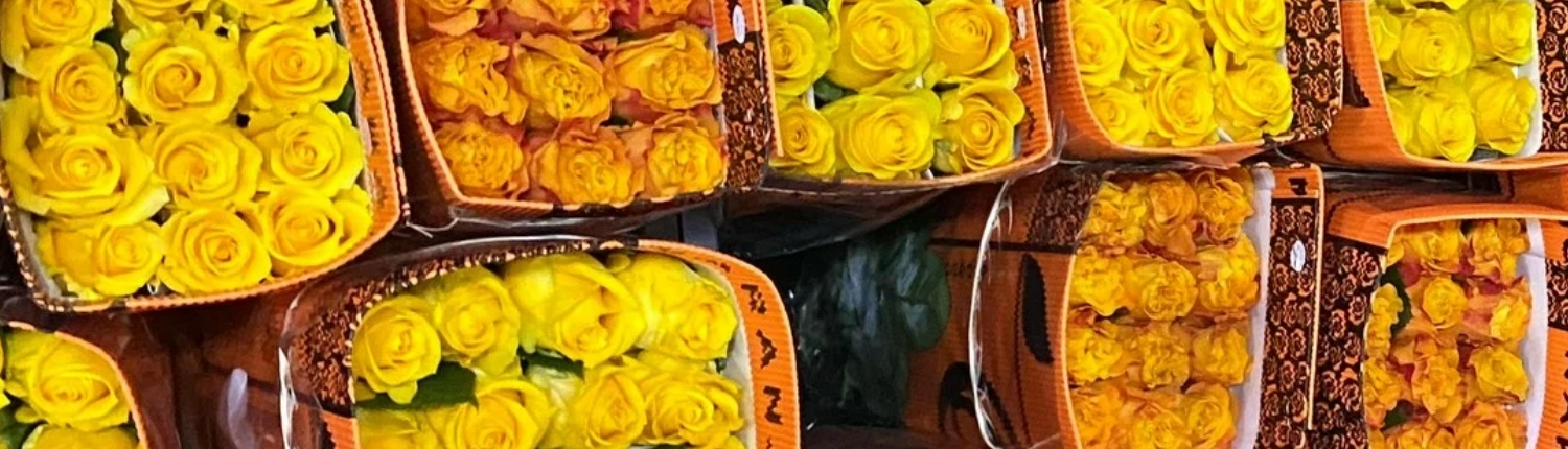 yellow flowers March