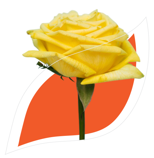 women in floriculture