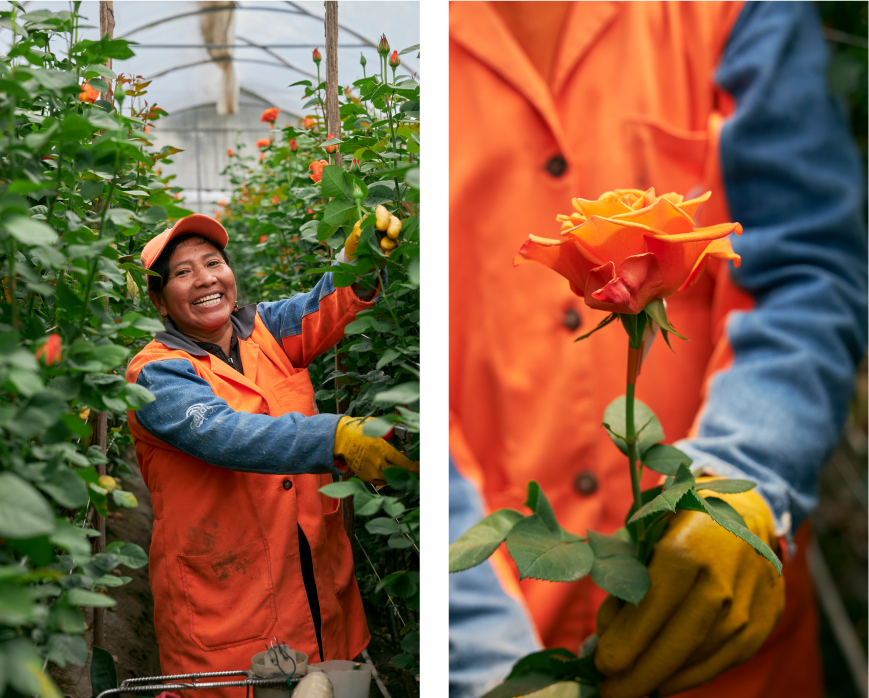 empowering flower farmers