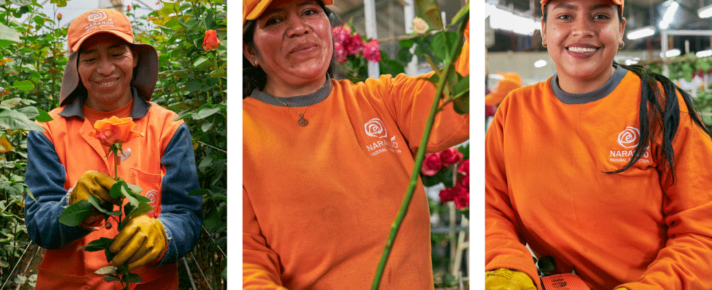 empowering flower farmers