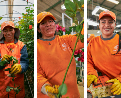 empowering flower farmers