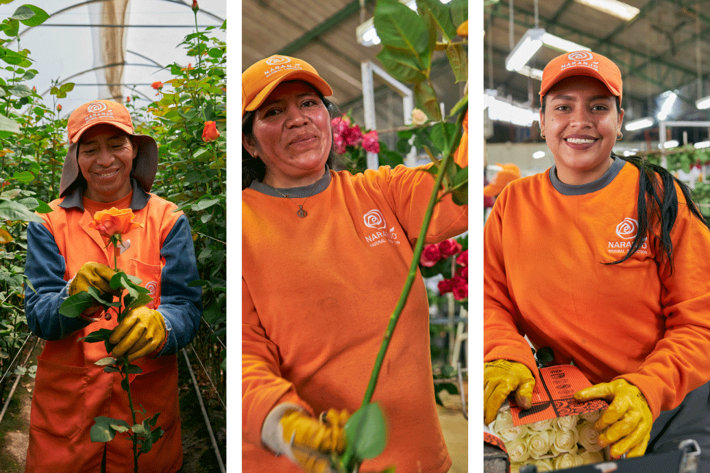 empowering flower farmers