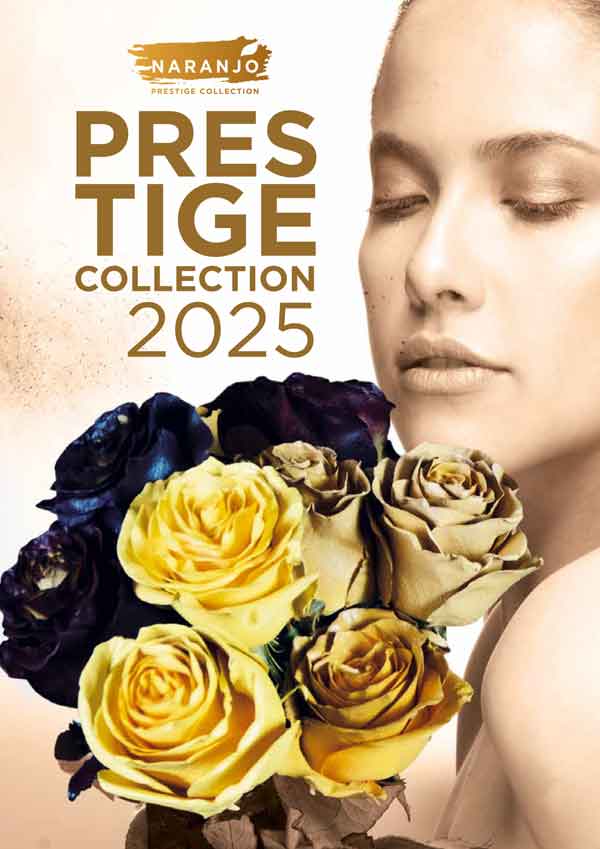 Prestige Collection