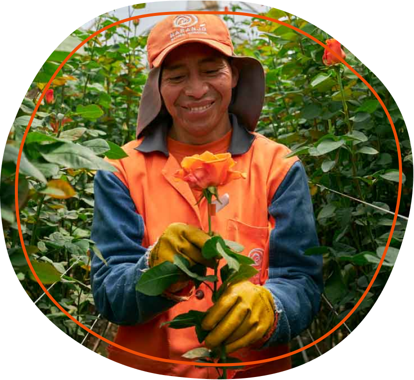 Growing Beauty with Responsibility