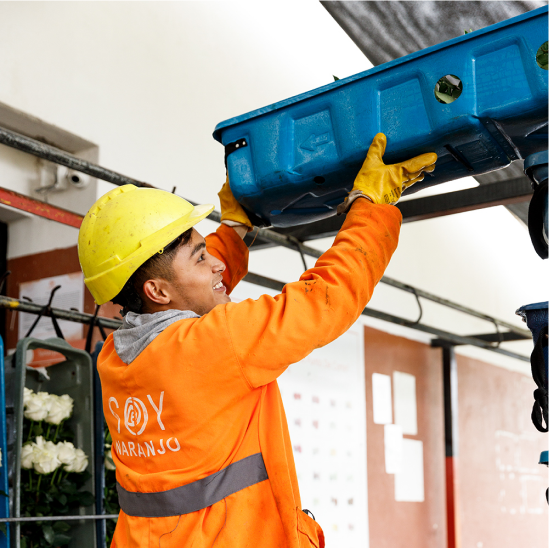 Sustainability From Root to Bloom