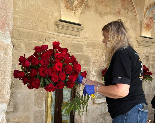 Naranjo roses