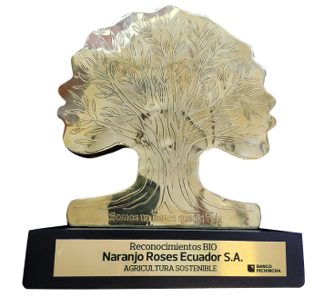 premi-Naranjo Roses Honored by Banco Pichincha