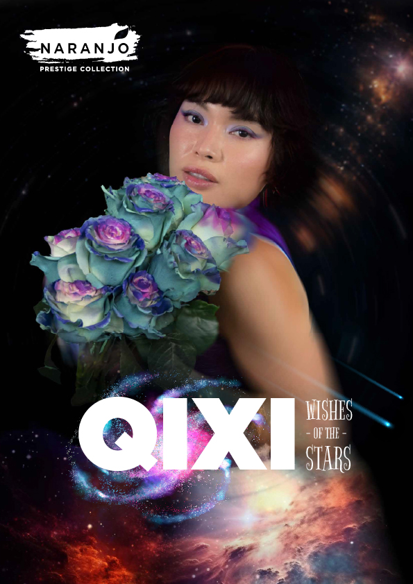 QIXI-Catalog-2025